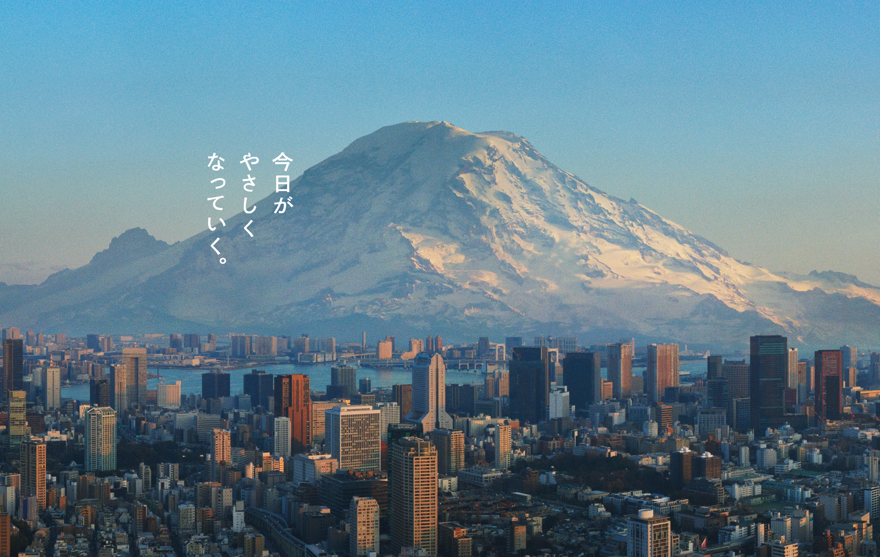 山々本出品 81tj2TmBNnL._AC_UF350,