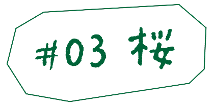 #03 桜